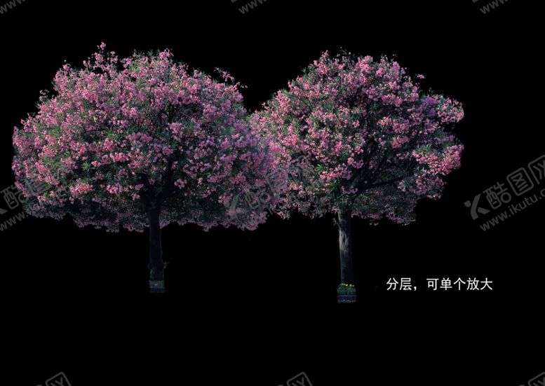 编号：59271905062351086585【酷图网】源文件下载-花树