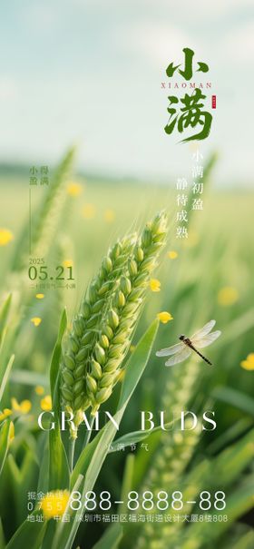 小满创意节气海报