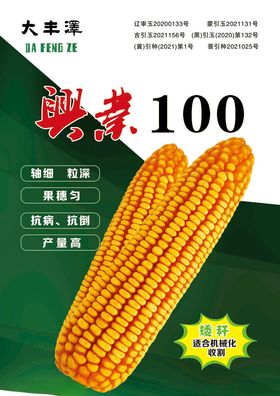 宣传单玉米兴业100