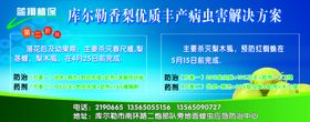 香梨优质丰产病虫黑解决方案