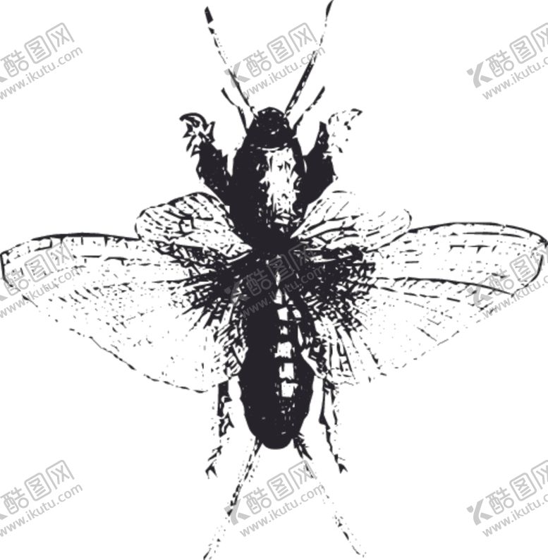 编号：47735910201212524201【酷图网】源文件下载-自然昆虫蝴蝶标本插画