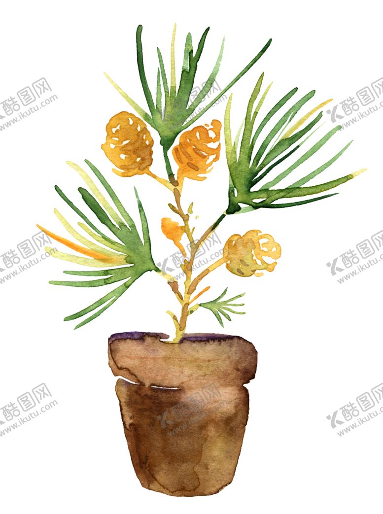 编号：62609901220947596475【酷图网】源文件下载-png格式植物花卉手绘素材