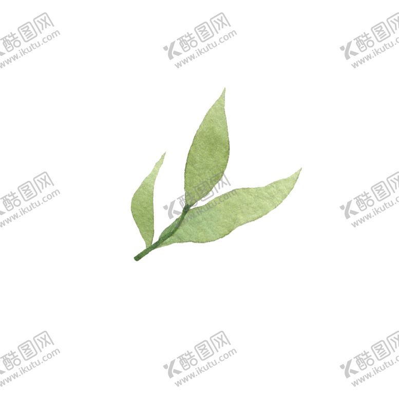 编号：93874402042037299565【酷图网】源文件下载-水彩树叶树枝 