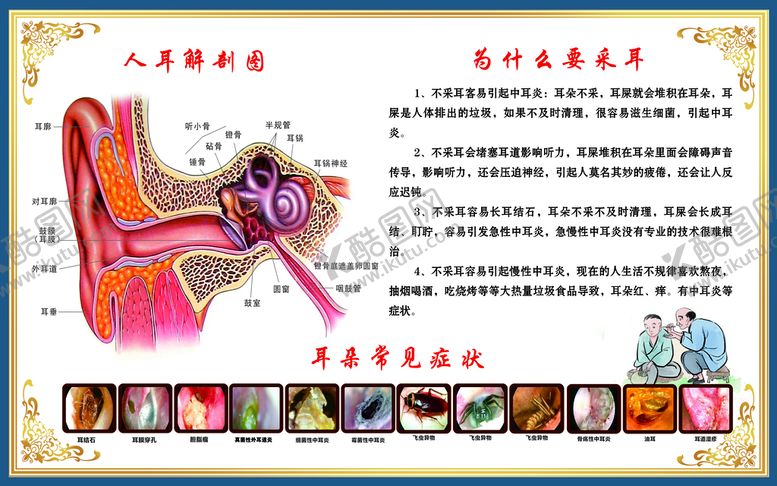 编号：85320710060202064783【酷图网】源文件下载-可视采耳