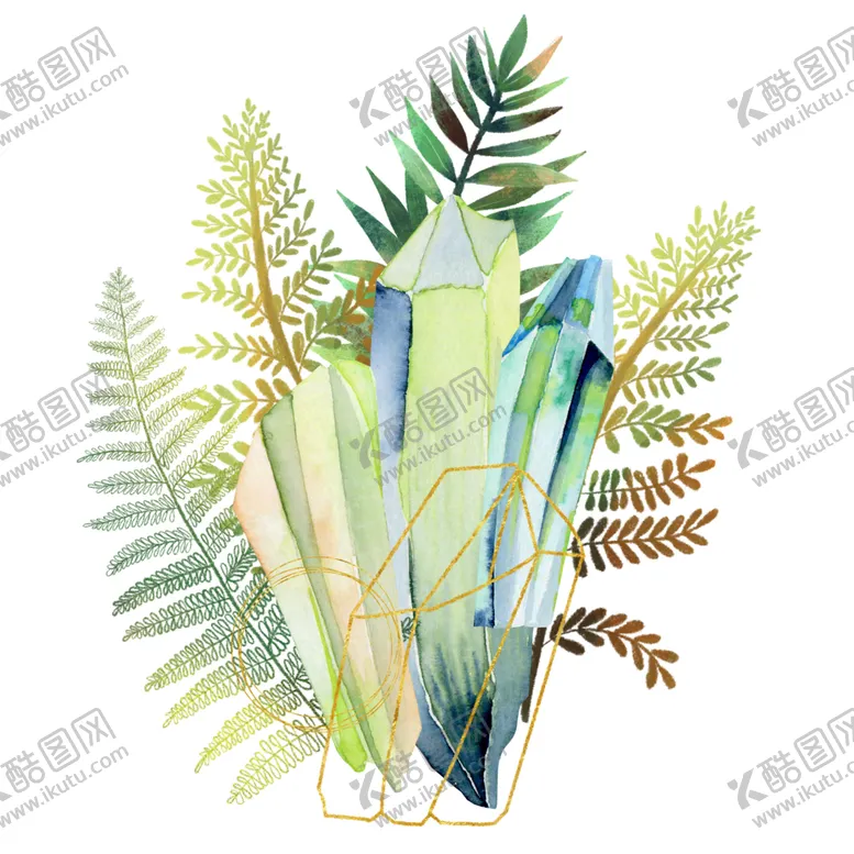 编号：55934701132112182283【酷图网】源文件下载-蕨类植物插画素材