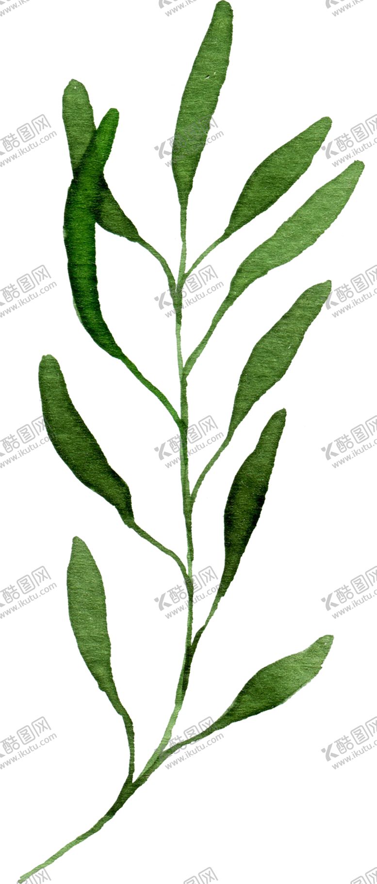 编号：44162707090547388626【酷图网】源文件下载-绿色植物
