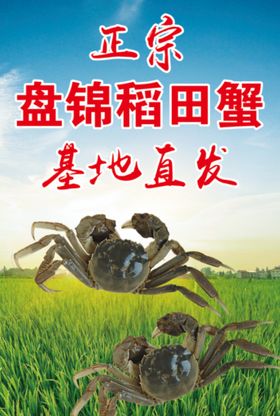 淘宝河蟹