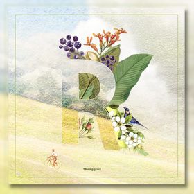 花卉字