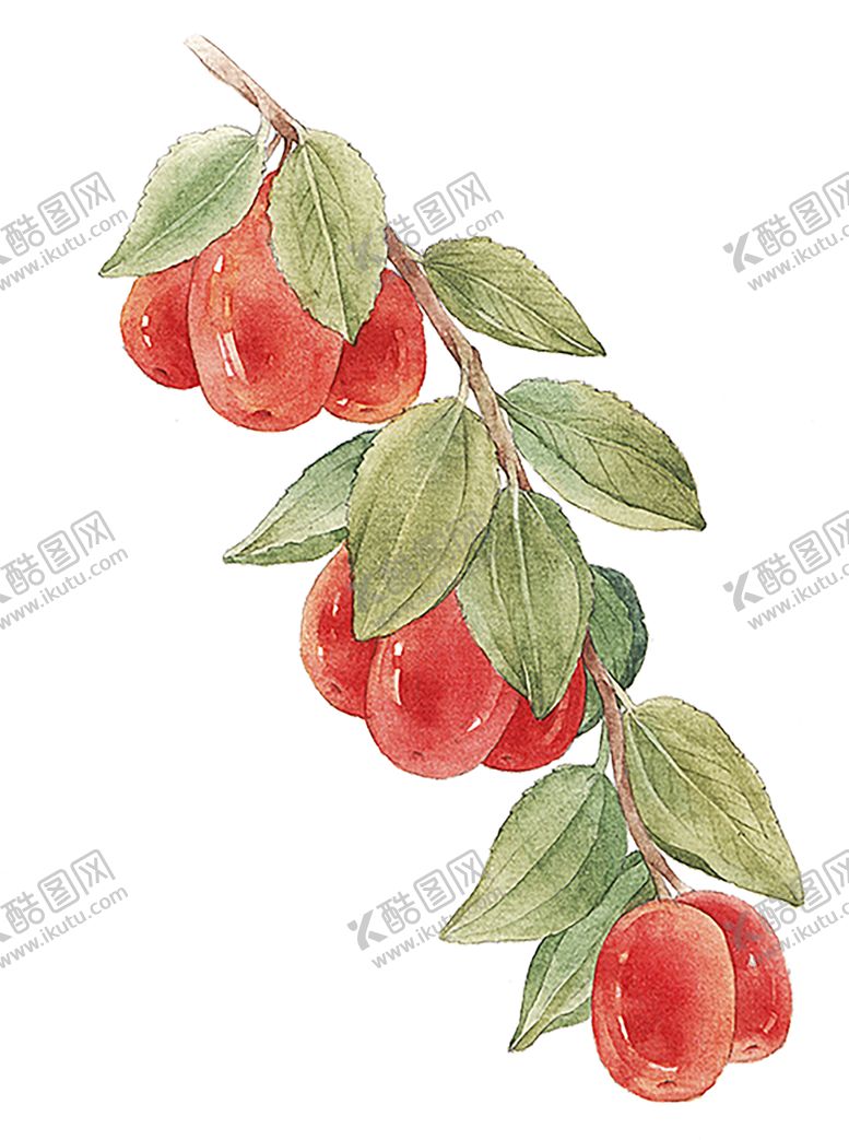 编号：78679710250808291275【酷图网】源文件下载-水果