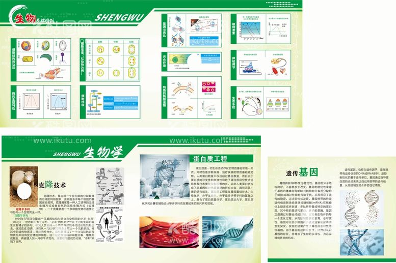 编号：35525512291539011827【酷图网】源文件下载-生物知识展板