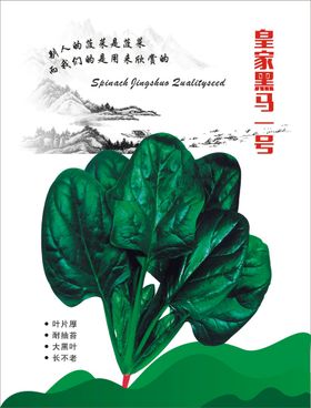 编号：84531909251040045876【酷图网】源文件下载-清炒菠菜