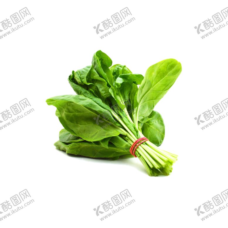 编号：88813705062118182634【酷图网】源文件下载-菠菜