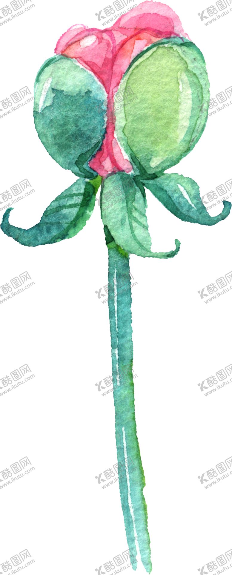 编号：15381105111640062053【酷图网】源文件下载-水彩手绘花卉花朵植物