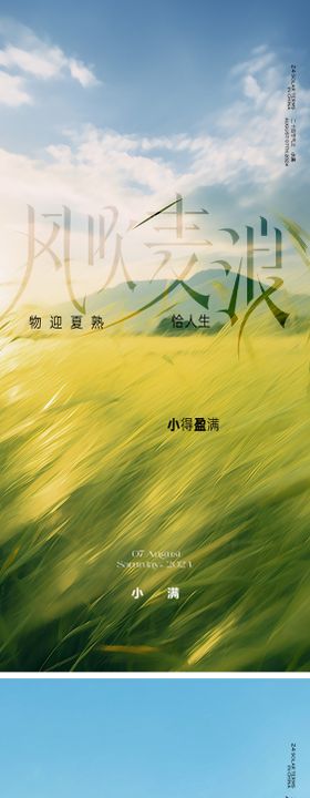 质感地产小满节气海报