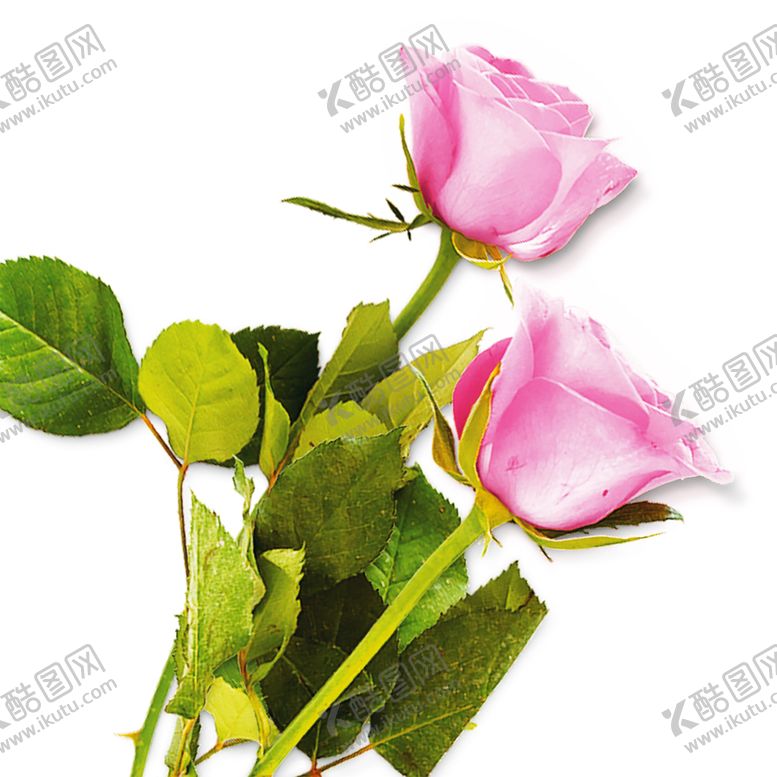 编号：84734809250532564463【酷图网】源文件下载-浪漫素材