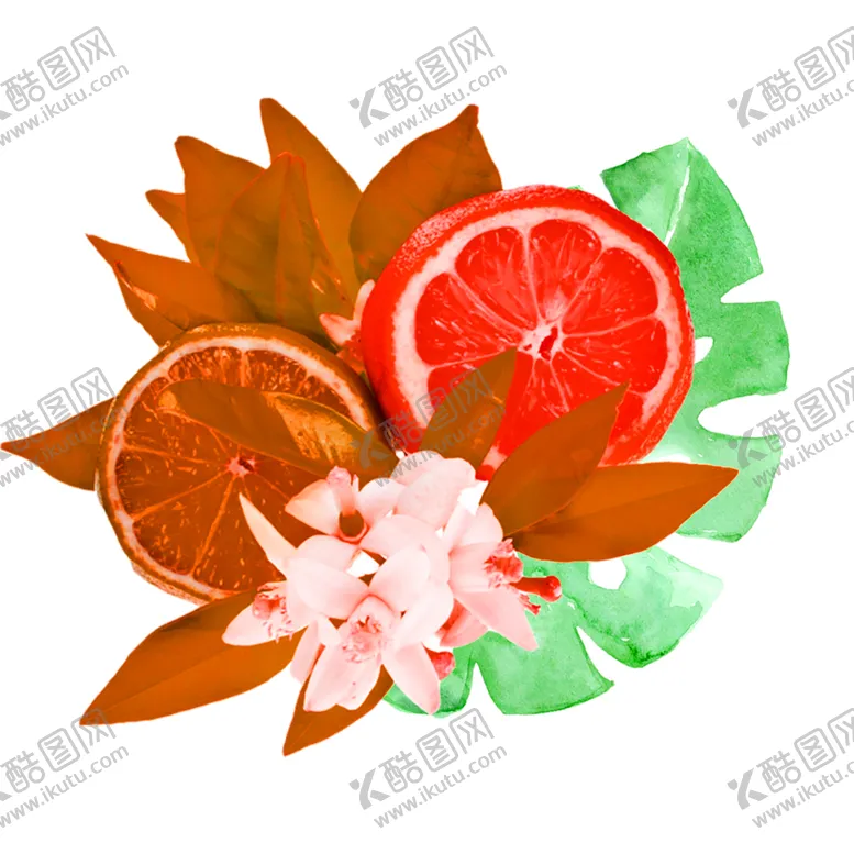 编号：90296905070038164799【酷图网】源文件下载-鲜花素材