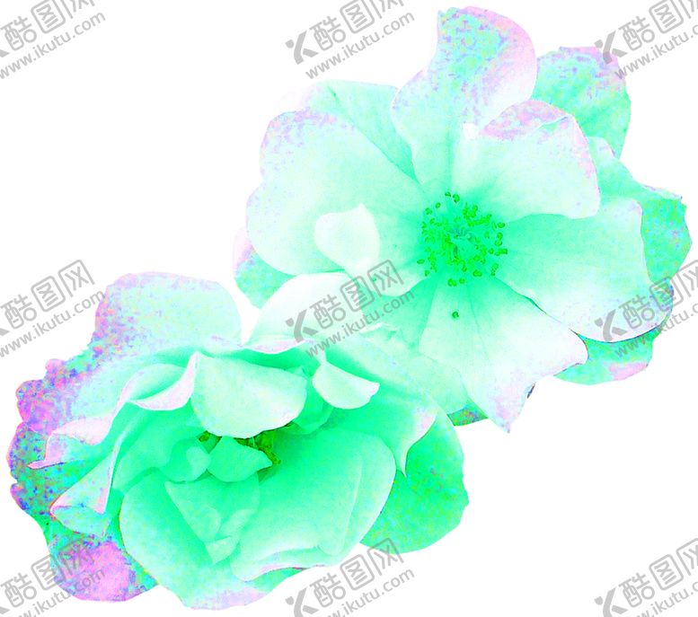 编号：59593210041800363394【酷图网】源文件下载-花素材