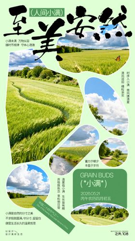 小满节气宣传海报