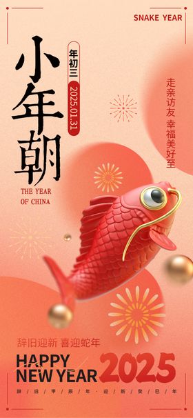 2025新年春节初三创意海报