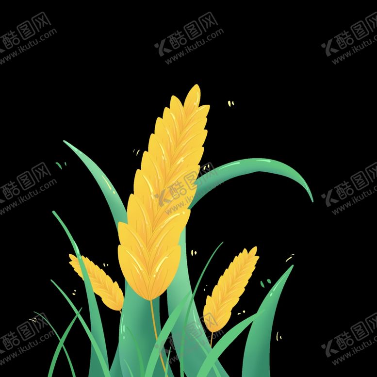 编号：81792301202041279058【酷图网】源文件下载-麦穗小麦图片