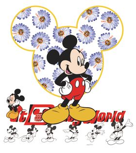 米奇花