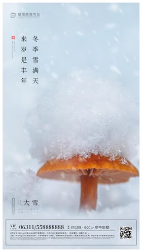 简约大雪节气海报移动端