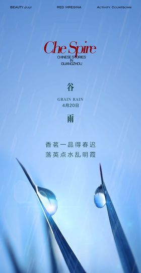 谷雨海报叶子滴二十四节气