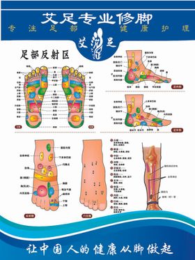 足部反射区