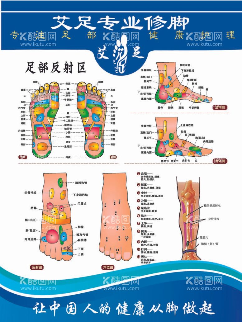 编号：61806812030952121680【酷图网】源文件下载-足部反射区