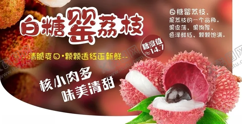 编号：95006706251138541829【酷图网】源文件下载-白糖罂荔枝