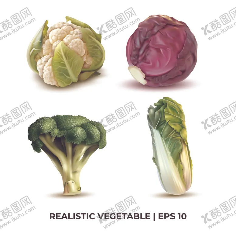 编号：98289206260241579243【酷图网】源文件下载-矢量蔬菜