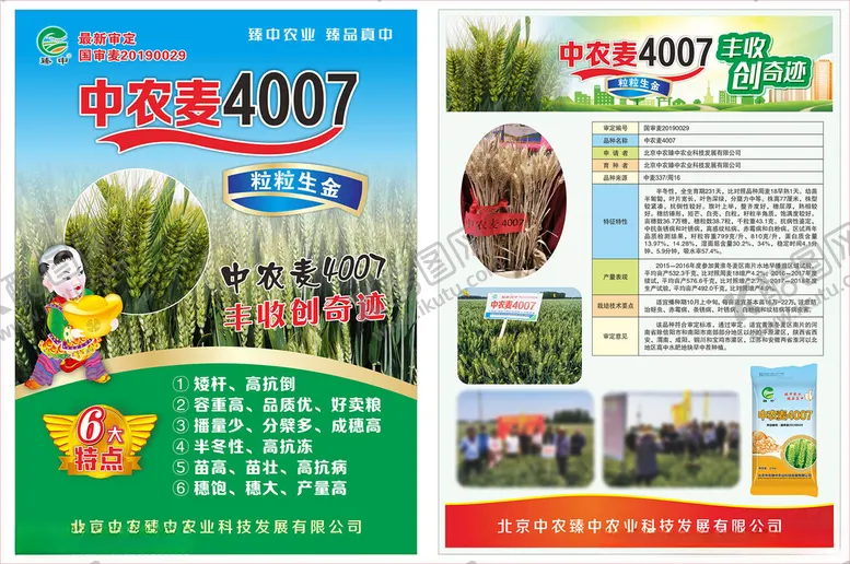 编号：60017204011044265346【酷图网】源文件下载-小麦彩页麦种宣传农业彩页