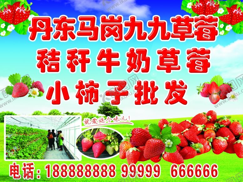 编号：64875909270726546190【酷图网】源文件下载-九九草莓