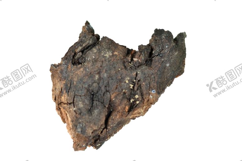 编号：62785010042229185201【酷图网】源文件下载-树皮