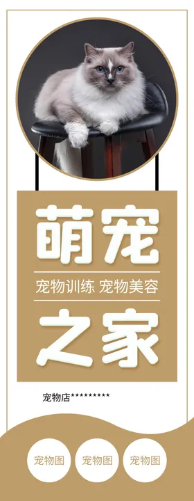 萌宠之家物食物物广告猫粮