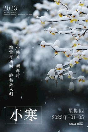 地产小寒节气海报