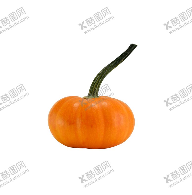 编号：23419809210946018736【酷图网】源文件下载-新鲜蔬菜南瓜小南瓜