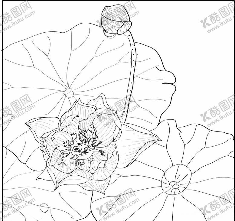编号：75094805080558403075【酷图网】源文件下载-夏日小荷