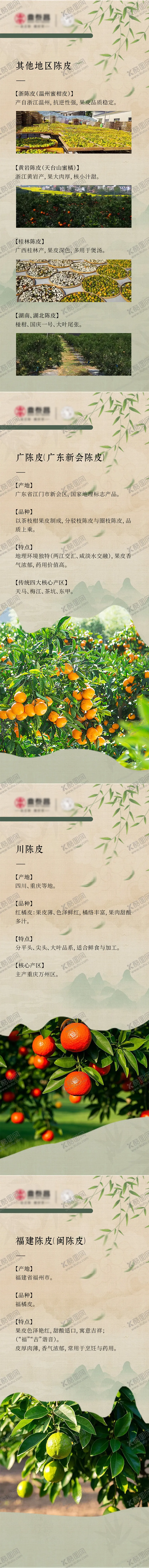 编号：76853702281322507043【酷图网】源文件下载-陈皮产品介绍系列展架易拉宝