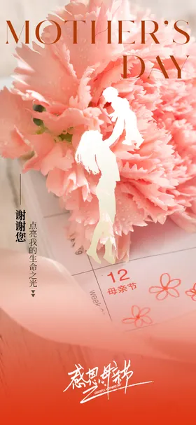 母亲节海报地产公历日康乃馨