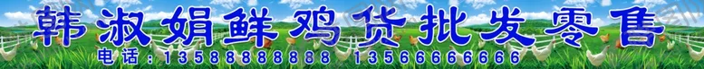 编号：49012709211959087819【酷图网】源文件下载-鲜鸡货门头