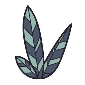 树叶