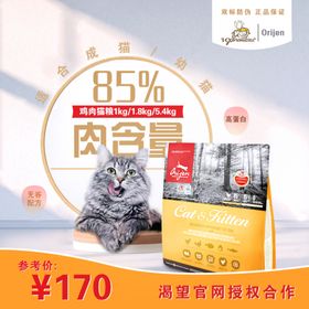 猫咪渴望猫粮海报设计