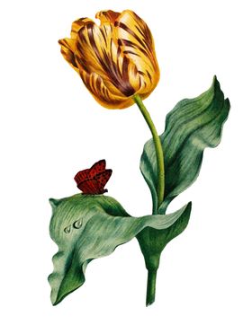 复古鲜花主题装饰图案
