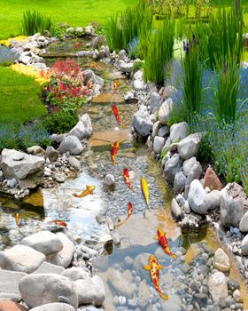小溪流水