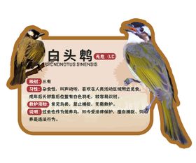 本土动物百科异形KT板