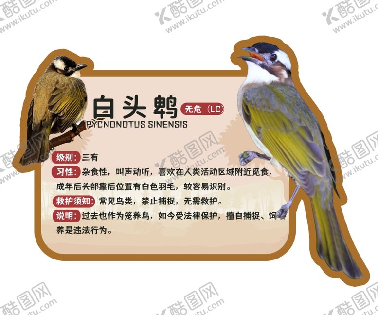 编号：36815404151414444999【酷图网】源文件下载-本土动物百科异形KT板