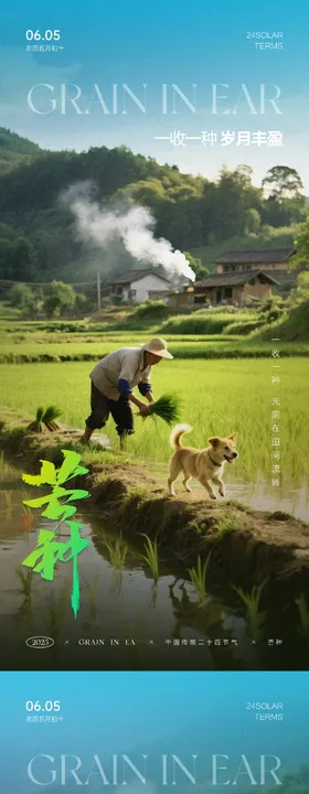 芒种节气海报梯田二十四劳作