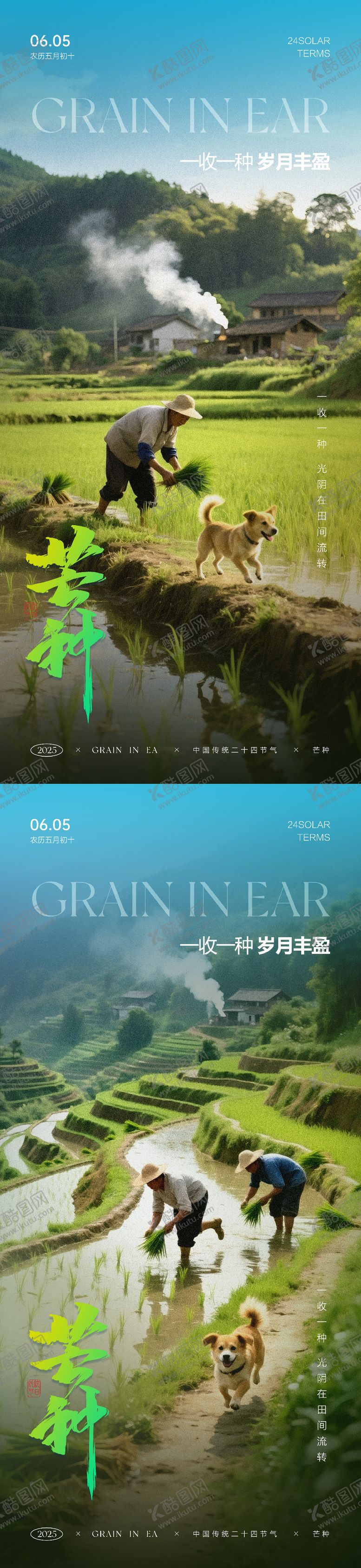 编号：97829606152305421881【酷图网】源文件下载-芒种节气海报