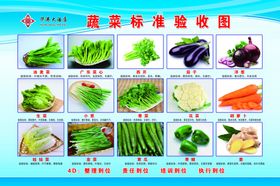 华港蔬菜标准验收图